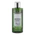 Шампунь для фарбованого та пошкодженого волосся Alan Jey Green Natural Shampoo Protettivo