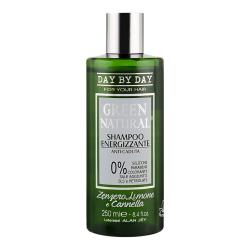Очищувальний шампунь для жирного волосся з лупою Alan Jey Green Natural Shampoo Purificante
