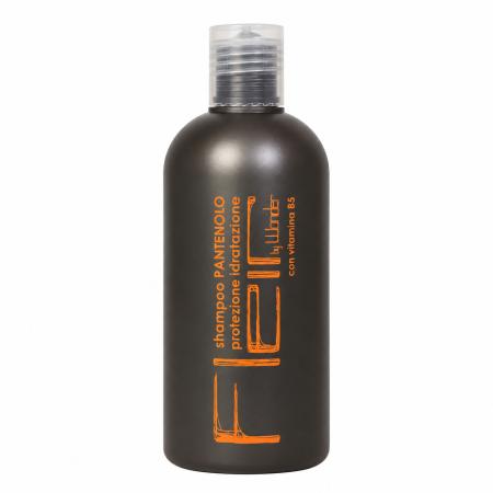 Захисний зволожуючий шампунь із пантенолом Alan Jey Pantenol Shampoo