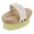 Щітка для сухого пілінгу з агави Arosha Natural Brush With Handle