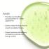 Відновлюючий бальзам для губ Ванільна м'ята Circadia Lip Renewing Hydrator Vanilla Mint