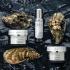 Зволожуючий крем для комбінованого типу шкіри Dalton Oyster Skin Balance Cream