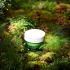 Крем з екстрактом чайного дерева Dr.Ceuracle Tea Tree Purifine Cream