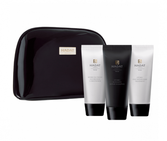 Набір для відновлення волосся Hadat Cosmetics Hydra Repair Set