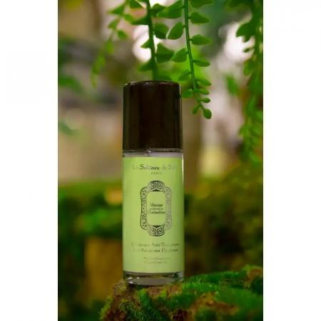  Дезодорант-антиперспірант імбир і зелений чай LA SULTANE DE SABA darjeeling anti-perspirant deodorant ginger green tea