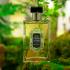 Вода для тіла Зелений чай Імбир La Sultane De Saba Moisturizing Body Mist Green Tea & Ginger