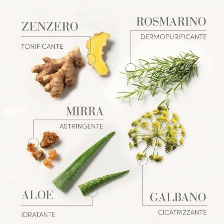 Лосьон для восстановления баланса жирной кожи головы Medavita Requilibre Lozione Sebo-Equilibrante