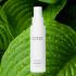 Зволожуючий та заспокійливий лосьйон для обличчя Vivant Skin Care Allantoin Sedating and Hydrating Lotion